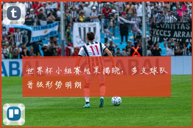 世界杯小组赛结果揭晓,多支球队晋级形势明朗
