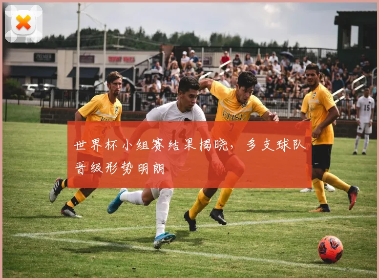 世界杯小组赛结果揭晓,多支球队晋级形势明朗
